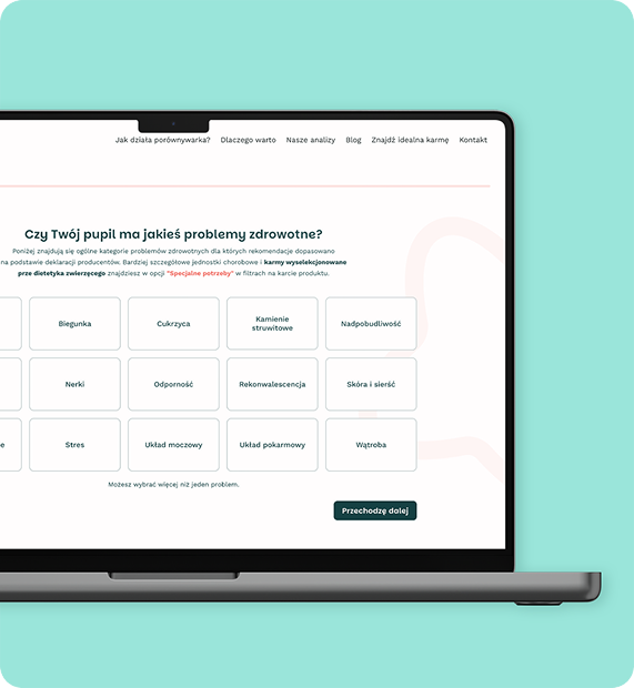 Zrzut ekranu wyszukiwarki